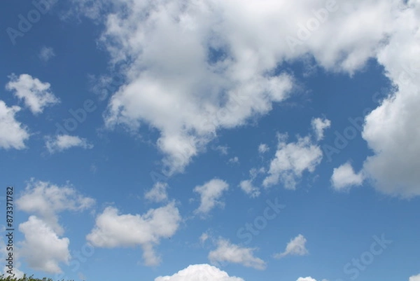 Obraz Clouds in a blue sky ,white fluffy clouds on a back ground of blue sky on a summers day Knottingley West Yorkshire In UK
