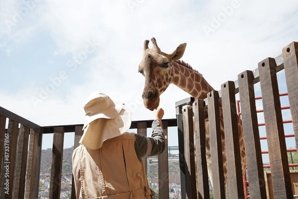 Obraz zoo keeper with a giraffe