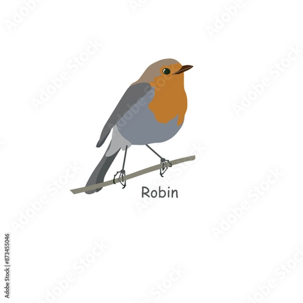 Fototapeta Robin pattern on white bird object isolated nature stock vector illustration