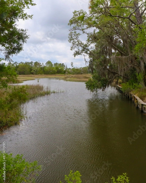Obraz Guana Reserve Wetlands