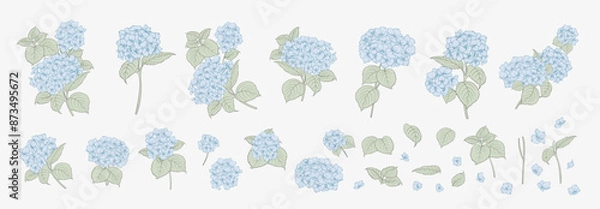 Obraz Set of differents white hydrangea on white background. Elegant line art, outline illustration.