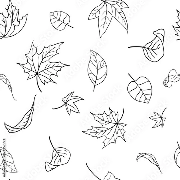 Fototapeta Seamless pattern of falling autumn leaves. Black outlines of leaves hand drawn doodles on a white background. Vector illustration for textile print, wrapping paper, wallpaper