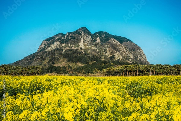 Fototapeta 제주도풍경