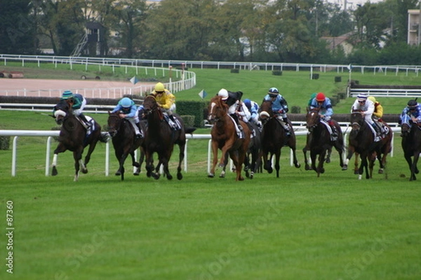 Obraz chevaux_pursang