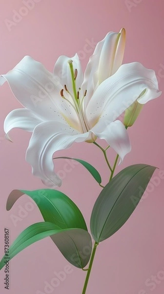 Fototapeta 3D render of A close-up of an Easter lily on a pastel pink background, clean background, no copyrighted logo, no letters, no peaple
