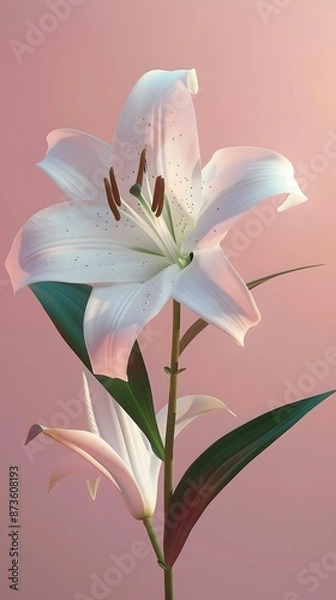 Fototapeta 3D render of A close-up of an Easter lily on a pastel pink background, clean background, no copyrighted logo, no letters, no peaple