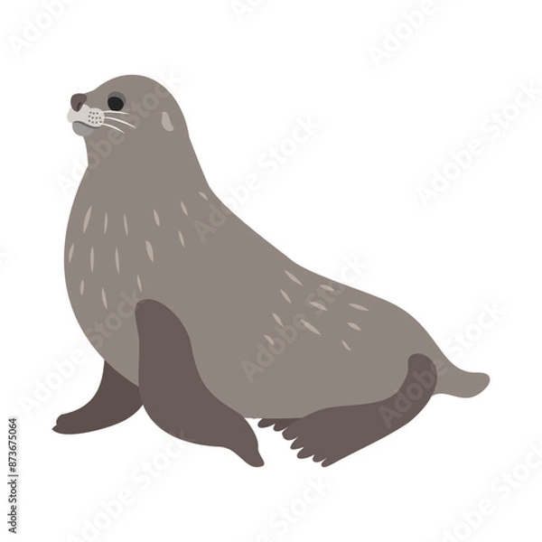 Obraz ナンキョクオットセイ。フラットなベクターイラスト。
Antarctic fur seal. Flat vector illustration.