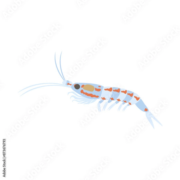 Obraz ナンキョクオキアミ。フラットなベクターイラスト。
Antarctic krill. Flat vector illustration.