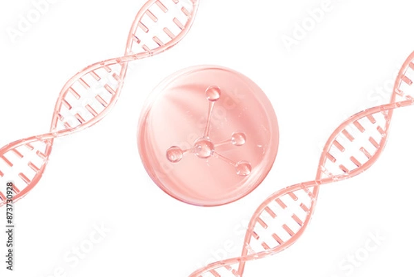 Obraz 3d rendering DNA molecule essence
