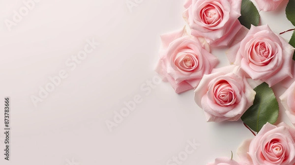 Obraz Arrangement of soft pink roses on a white background. For background pictures or postcards V2