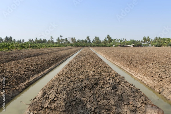 Obraz Water system working on a plantation