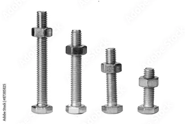 Fototapeta The different length bolts with nuts on white