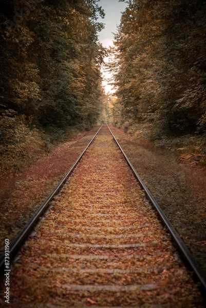 Fototapeta railroad tracks in Autumn Forest