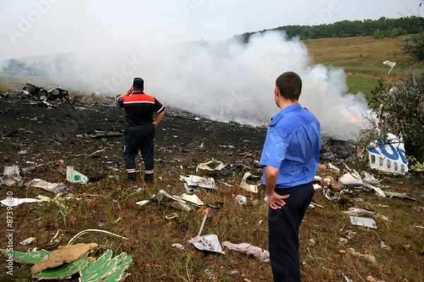 Fototapeta Awaria samolotu.