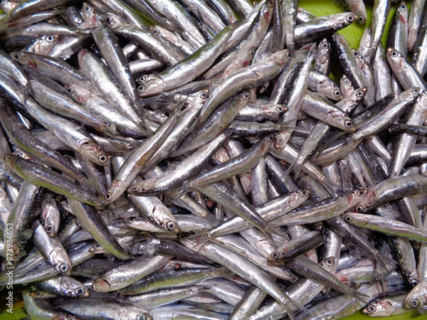 Obraz pescado en exposición para su venta