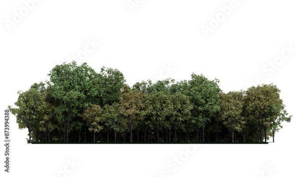 Obraz Forest isolated. Image useful for banners nd poster or photo maipulations. 3d rendering.