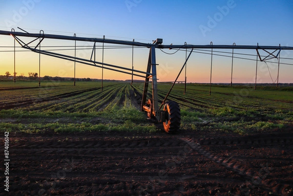 Fototapeta Field with mobile Irrigation system for water supply. Automatic field watering system.