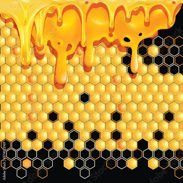 Obraz Honey with comb vector illustration, Black Background