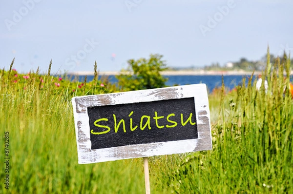 Obraz shiatsu