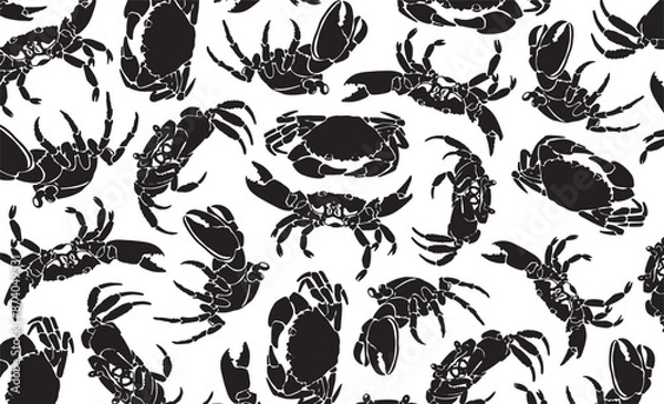 Obraz Graphical wallpaper design with crabs on white, background with seafood. Vector illustration	