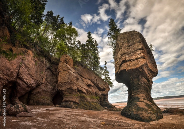Obraz Hopewell Rocks Park