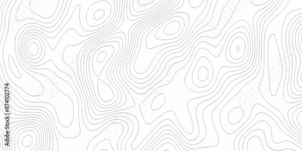 Fototapeta The stylize topography landscape grid map and counter wave line geometric wire outline area design. nature strip diagram topographic creative concept discovery line map texture background.