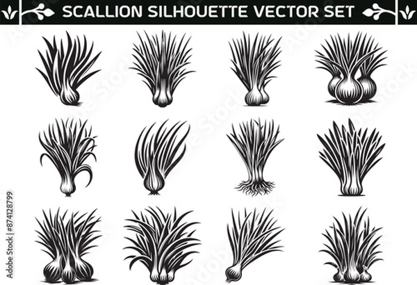 Fototapeta Scallion silhouette vector illustration set