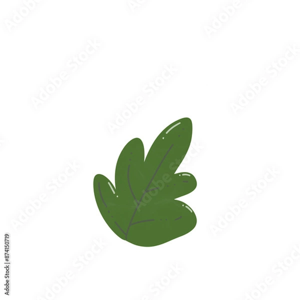 Obraz green leaf isolated on white