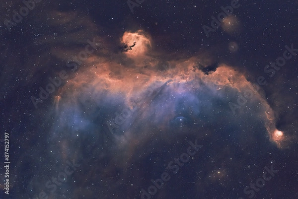Fototapeta Deep space astrophotography using a telescope capturing the Seagull Nebula IC 2177