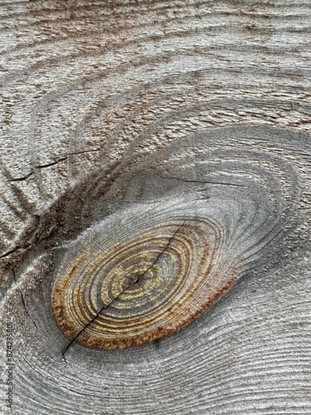 Obraz old wood background