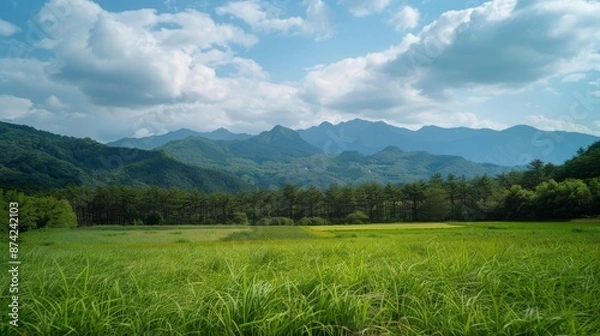 Fototapeta Vast field with wildflowers, rolling hills, and a mountain range under a blue sky with scattered clouds.