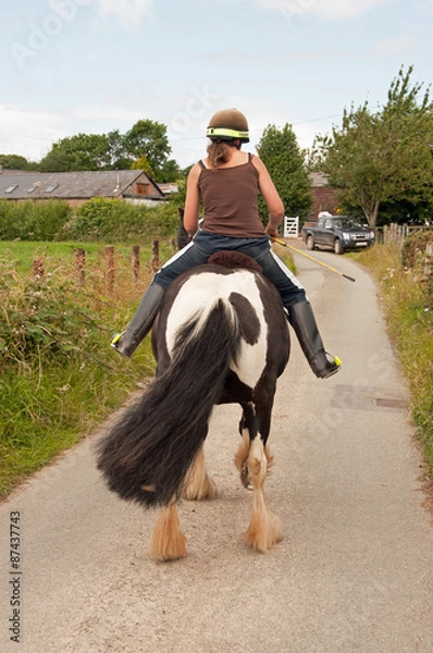 Fototapeta Encouraging a napping pony to go forward