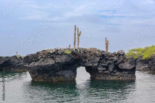 Obraz Paisaje marino de lava - Túneles - Isla Isabela - Islas Galápagos - Ecuador