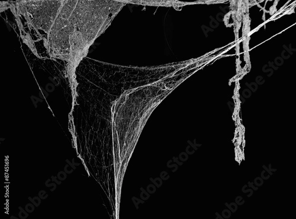 Obraz Cobweb on black background