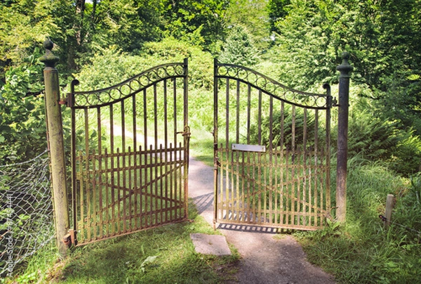 Obraz Antique iron gate