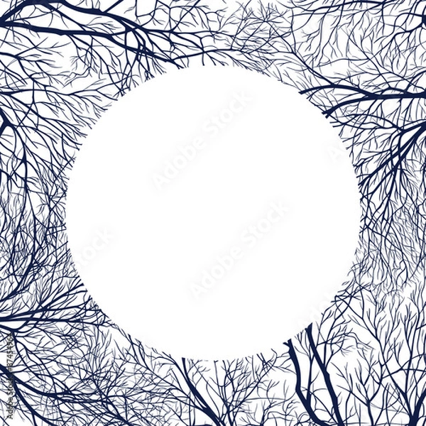 Fototapeta Branches ebony intertwined. Can be used as background.