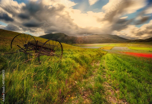Obraz Ranchinatore Castelluccio