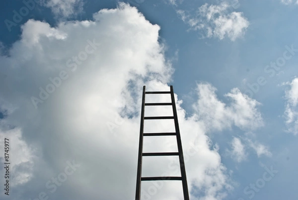 Fototapeta Climb the Ladder