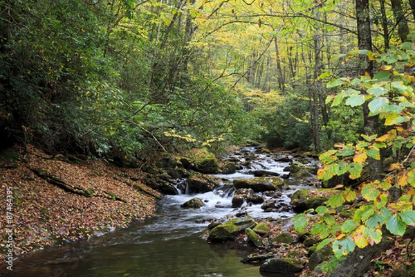 Obraz Courthouse Creek w Karolinie Północnej