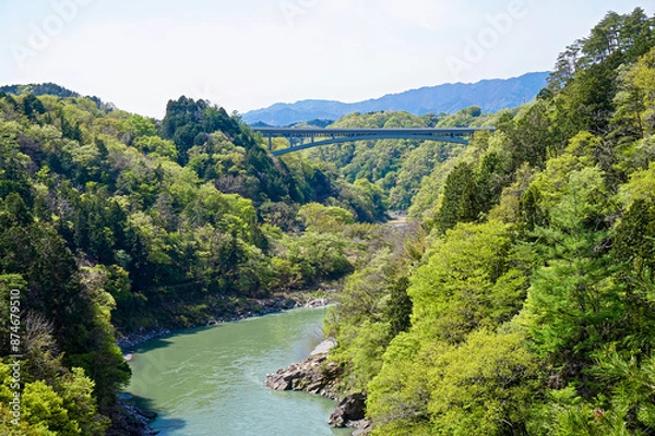 Obraz 長野県飯田市・天龍峡に架かる天龍峡大橋