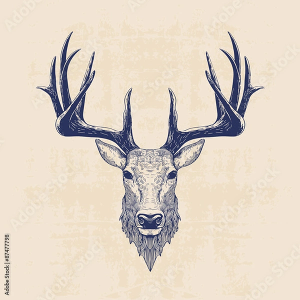 Fototapeta głowa jelenia