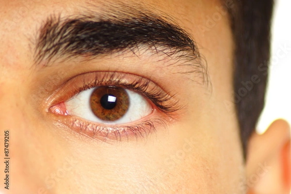 Fototapeta Eye of young man close up on white background