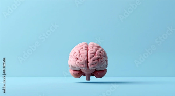 Obraz Brain model on light pastel blue background. Generative AI