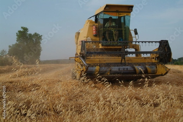 Fototapeta moissons