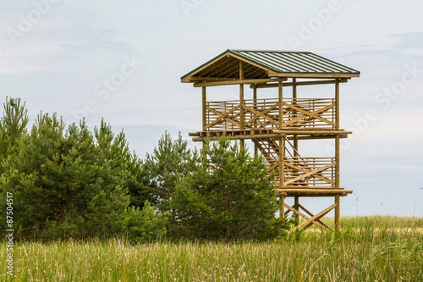 Obraz Bird watching tower