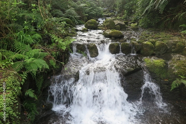 Obraz Levada Wanderung auf Madeira
