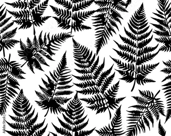Fototapeta seamless pattern of fern leaves v2