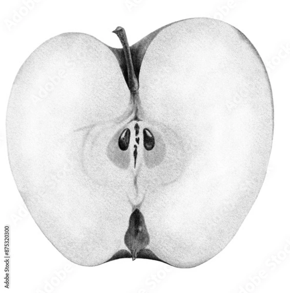 Fototapeta Apple chalk illustration isolated on white background