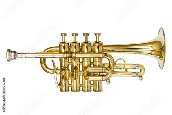 Obraz Trąbka Piccolo na białym tle