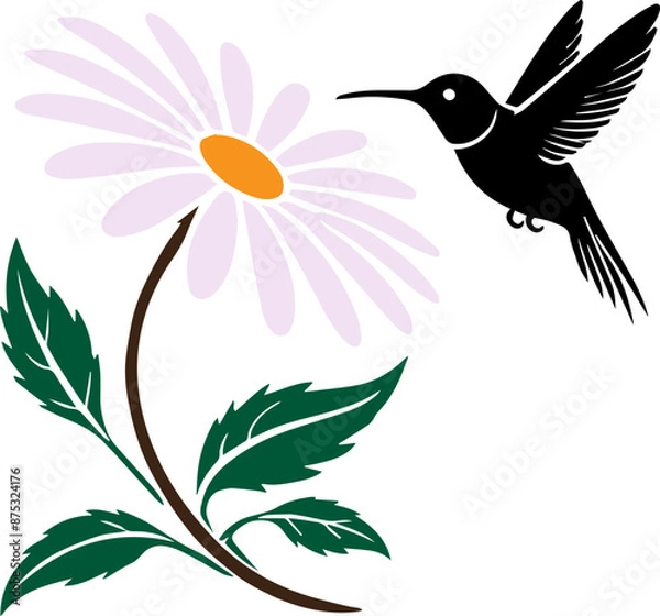Obraz Illustration of a hummingbird hovering by a daisy flower with green leaves. Perfect for nature, wildlife, and botanical themes.